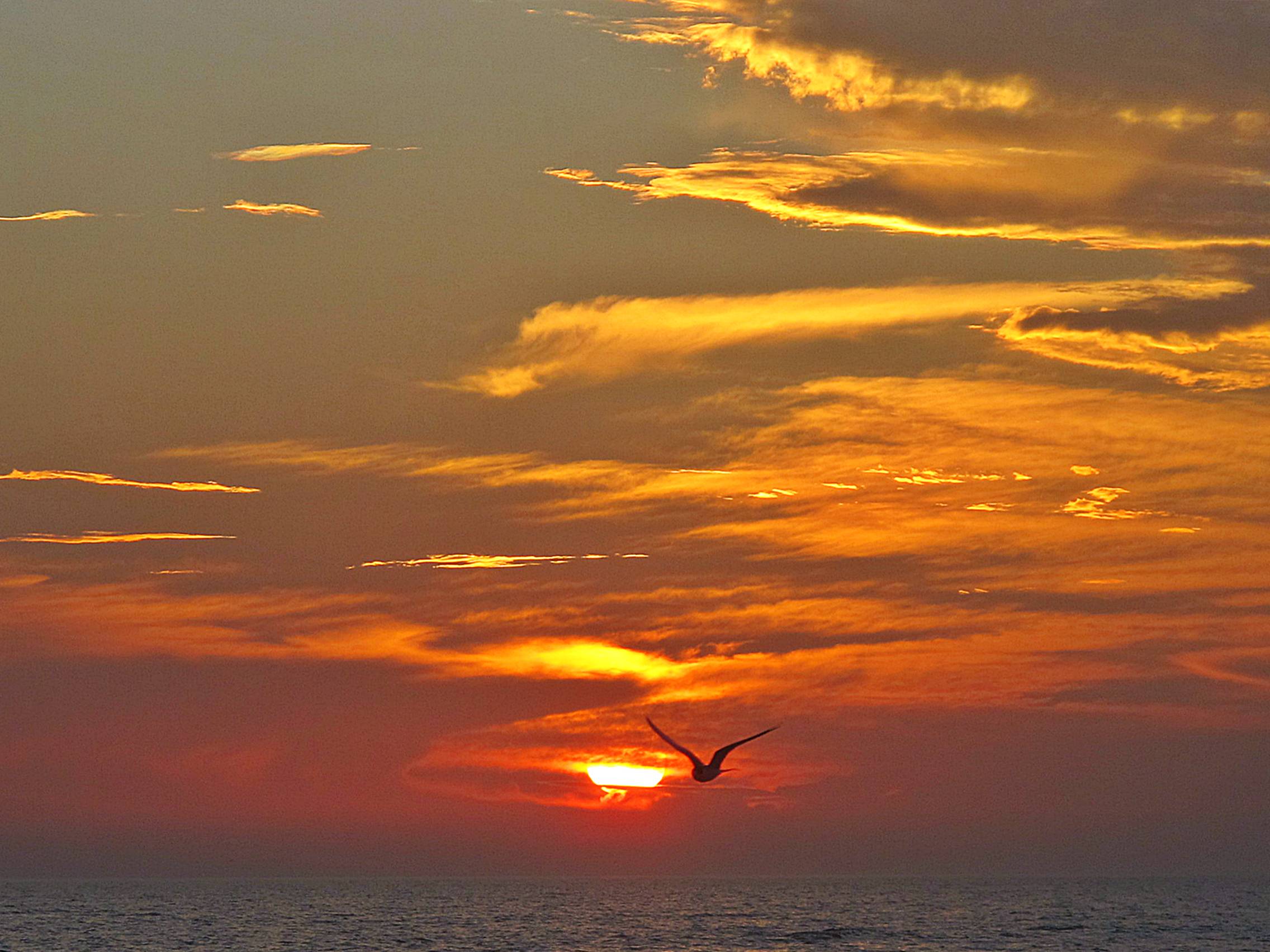 Treasure Island Florida | America's Best Sunsets | Sunset Capital ...