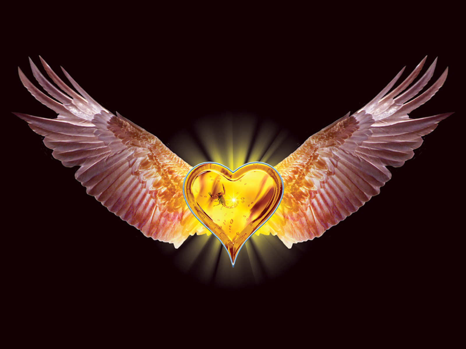 Know more about your body - The heart - Hatha Yoga Luxembourg