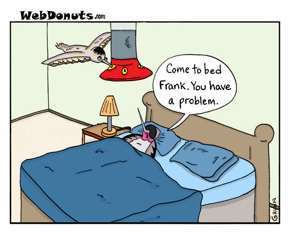 Hummingbird Cartoon | Webdonuts Webcomics