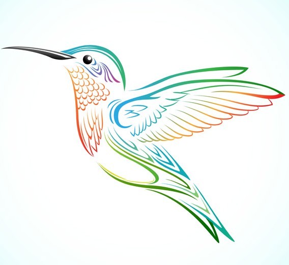 Free Colorful Hummingbird Vector » TitanUI