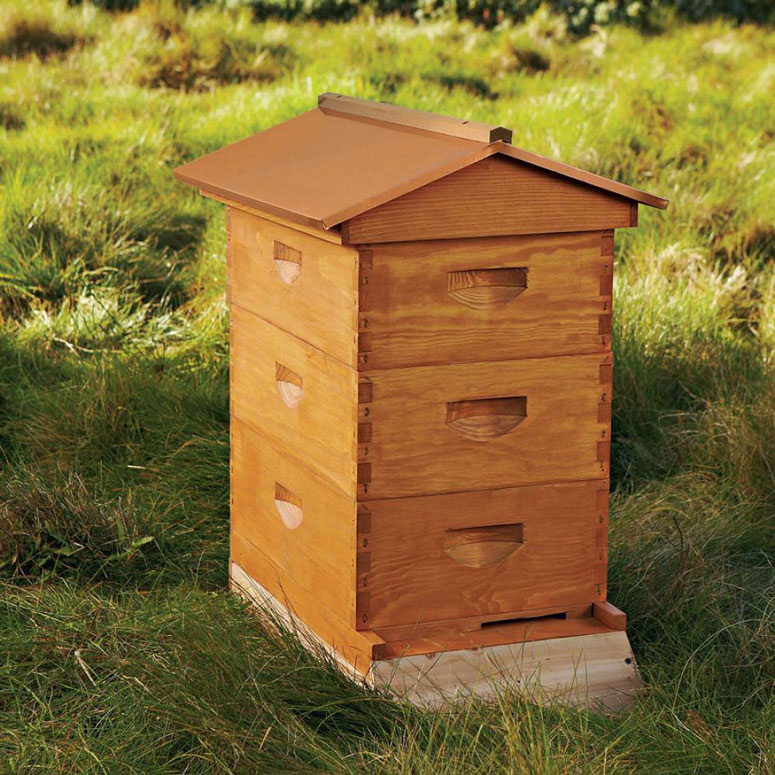 Backyard Beehive Starter Kit - The Green Head