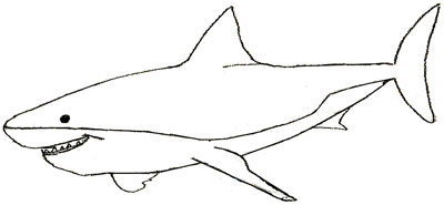 How to Draw a Shark - Draw Step by Step