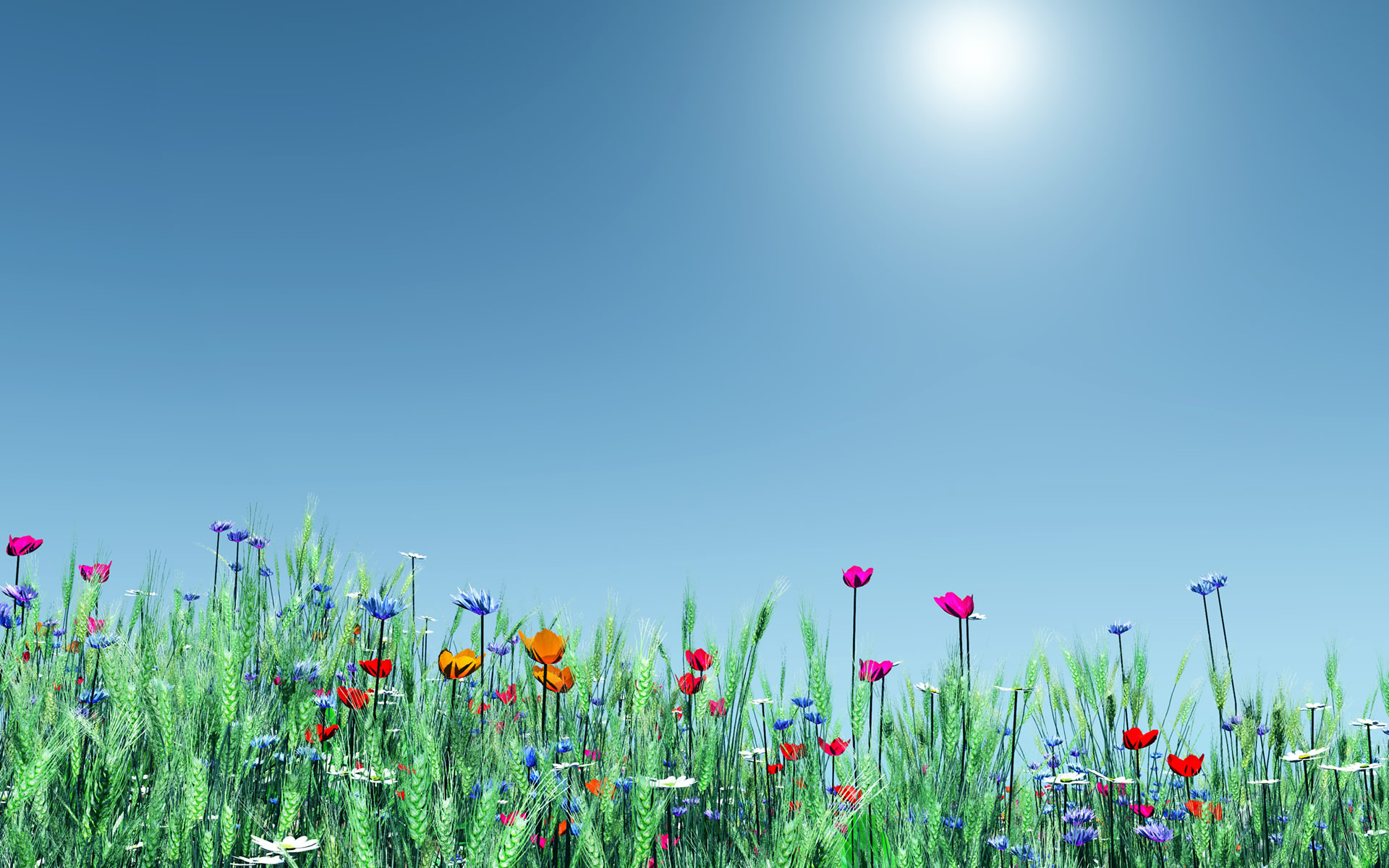 Spring-Flowers-Wallpapers.jpg