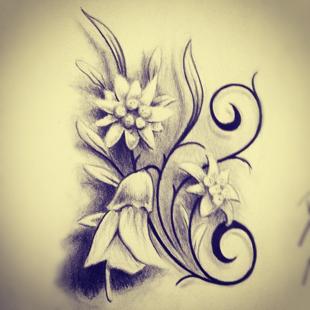 Edelweiss Tattoo - Cliparts.co
