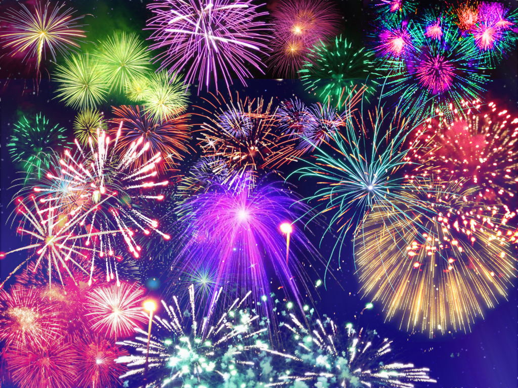 8 Ways to Keep me safe During Fireworks Texas Humane Heroes
