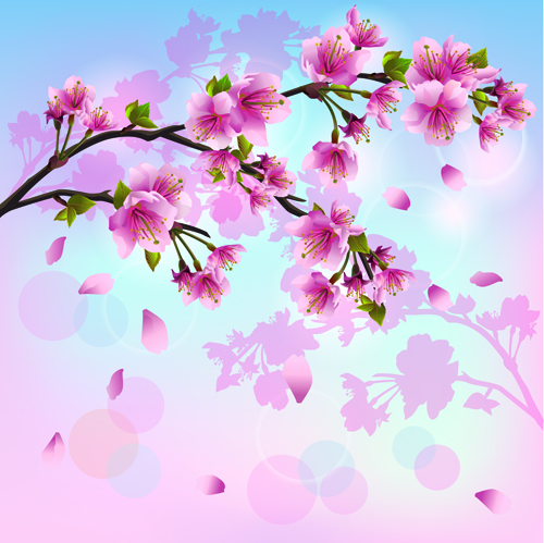Cherry Blossoms vector for free download