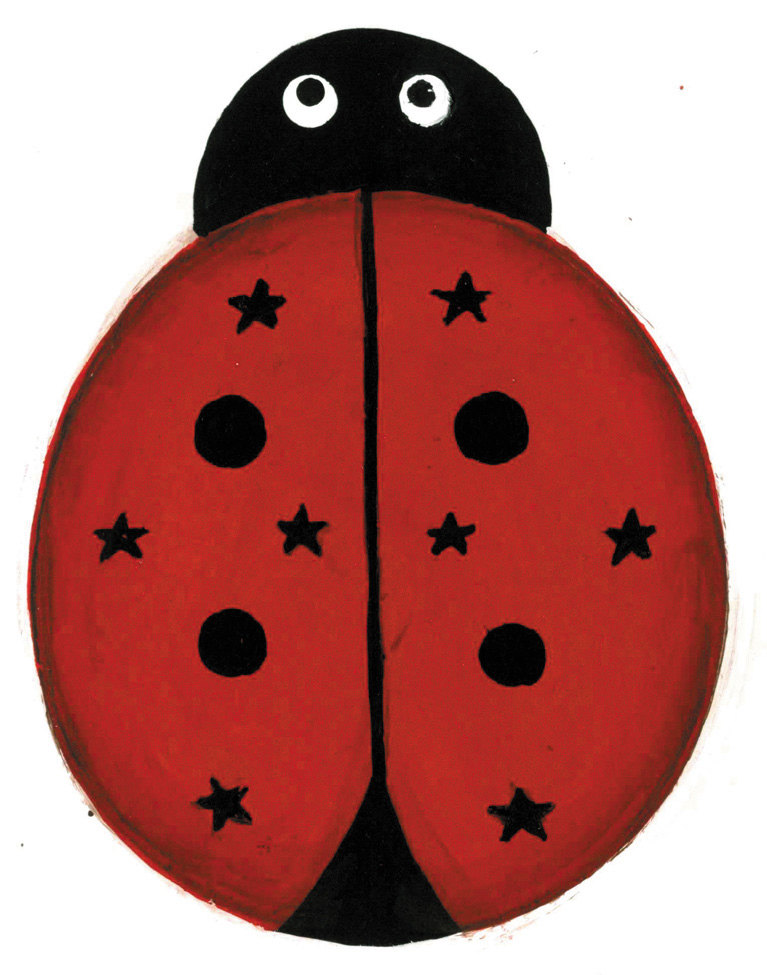 Ladybug Home Decor | House Interior Design