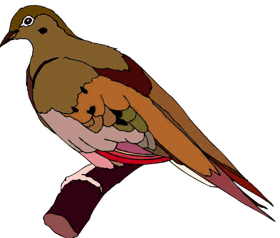 Clip Art - Clip art pigeons 863603