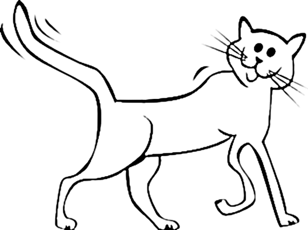 Cartoon Cats Colouring Pages Car Pictures