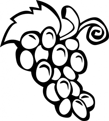 Grape Vine clip art - Download free Other vectors