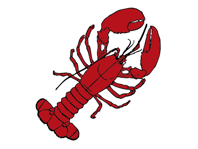 Picture Of A Lobster - Cliparts.co