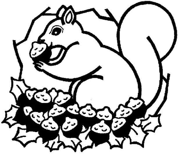 Squirrel Coloring Page