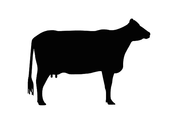 Cow silhouette as sign or clipart" by naturaldigital | Redbubble