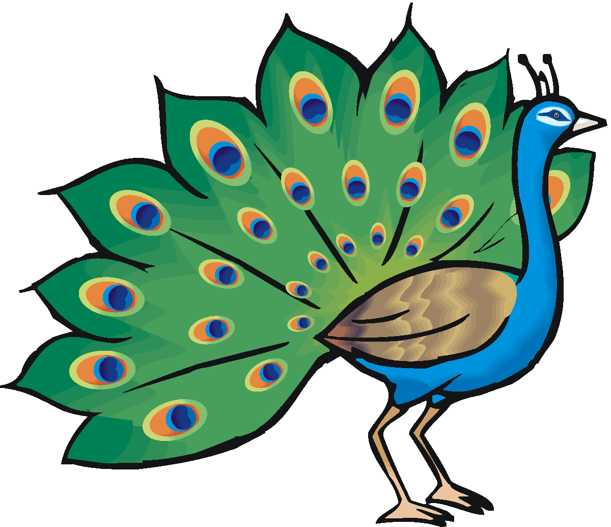Images For > Peacock Cartoon Clip Art
