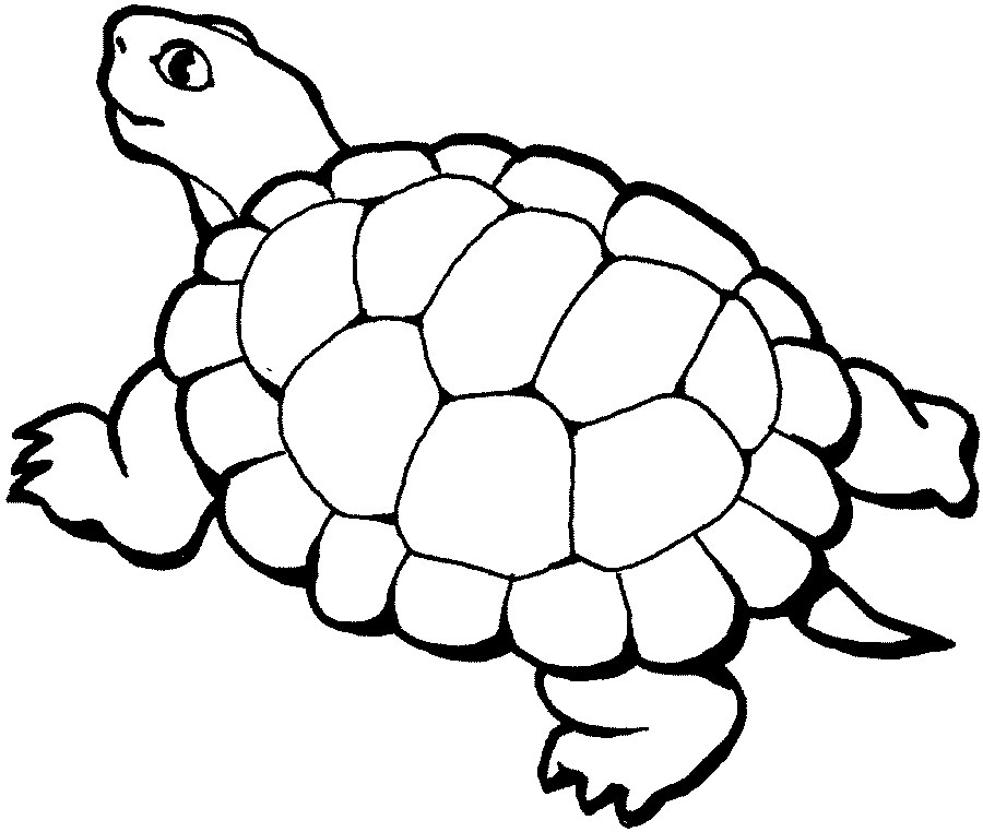 Turtle coloring pages for kids | Printable Coloring Pages
