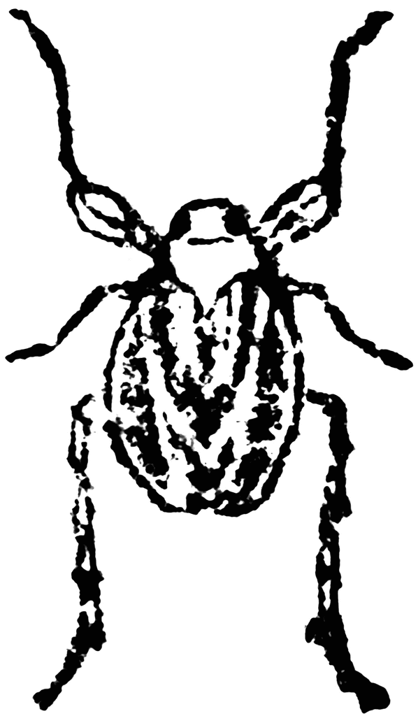 Black Leaf-Leg | ClipArt ETC