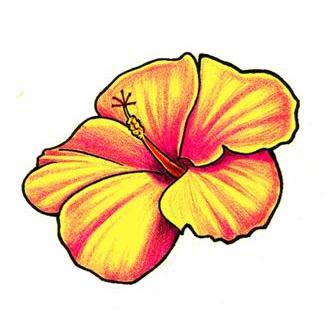 Beautiful Hibiscus Flower Tattoo Design - TattooWoo.