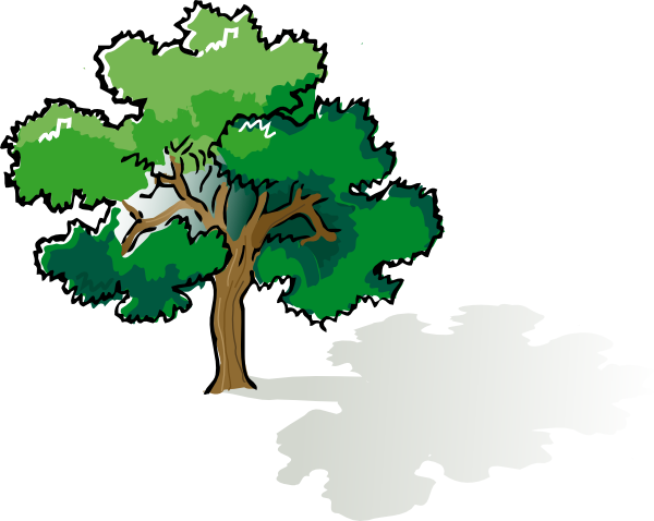 Oak Tree Clipart | Clip Art Pin