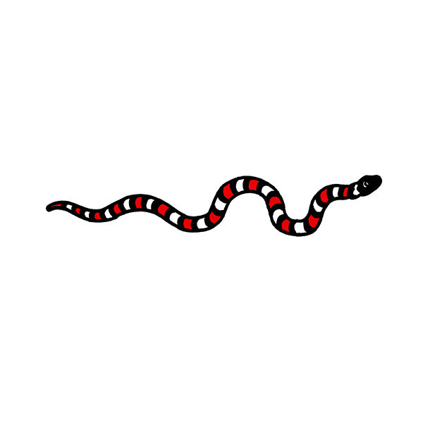 Tattly™ Designy Temporary Tattoos. — Snake