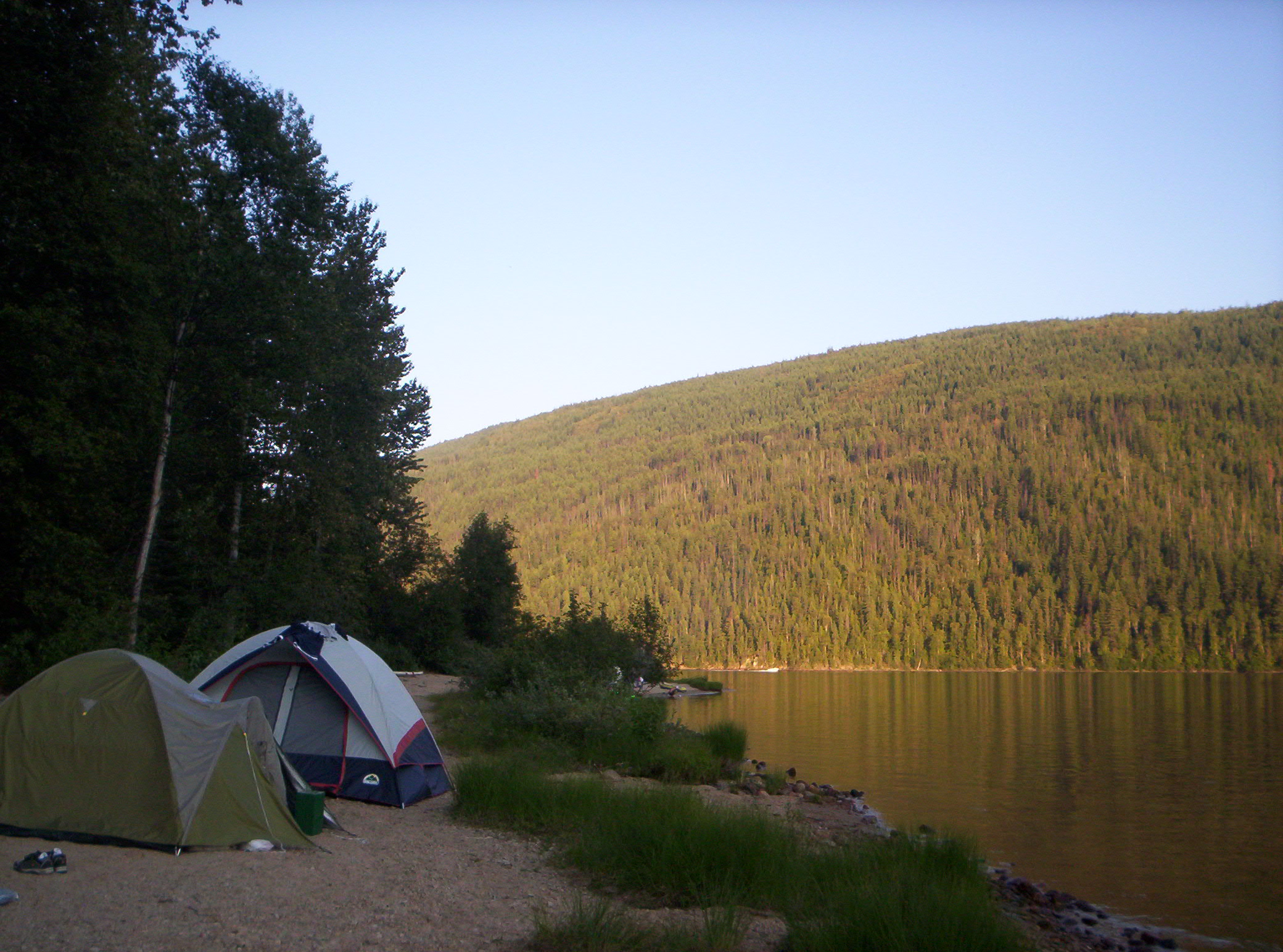Monashees Woodland Retreat – How to Camp – An Ultimate Beginner's ...