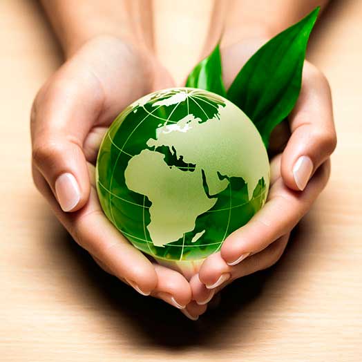 Go Green in the New Year! - Tips for Ways of Going Green