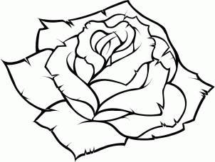 Simple Rose Drawing Step By Step - Gallery