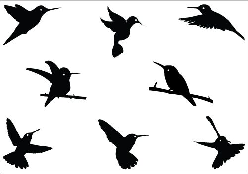 Hummingbird silhouette Vector Graphics - Silhouette Clip ...