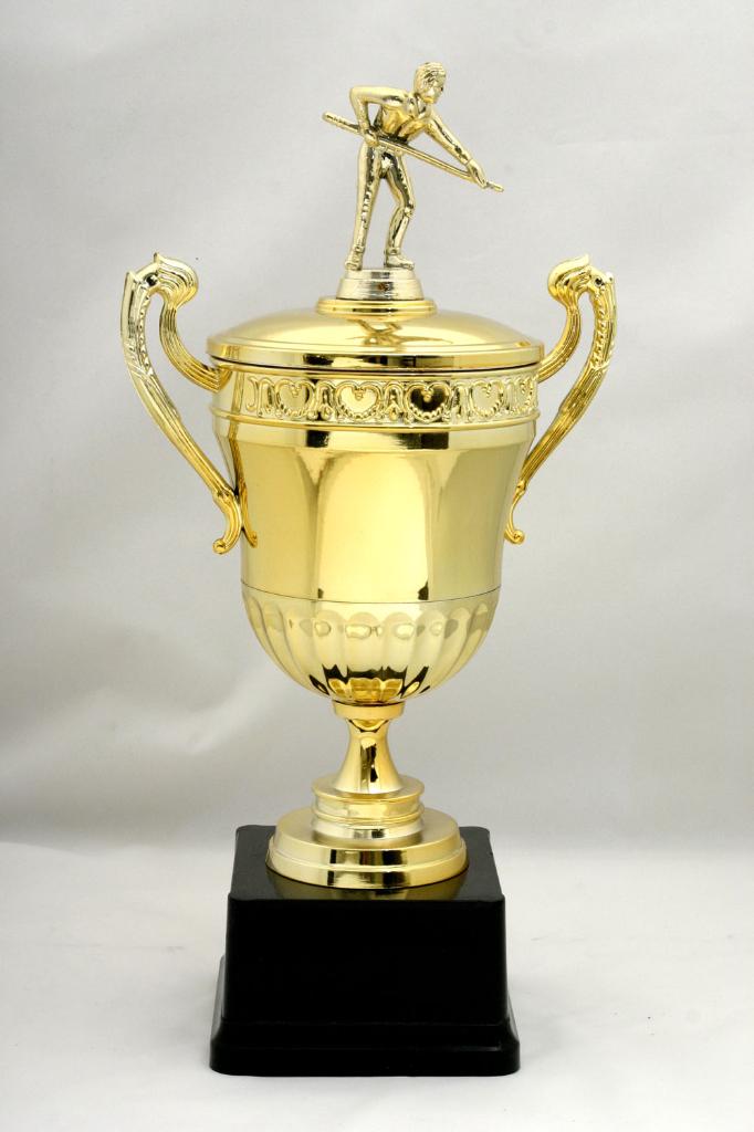 professional plastic trophy cups manufacturer and fittings wholesale -