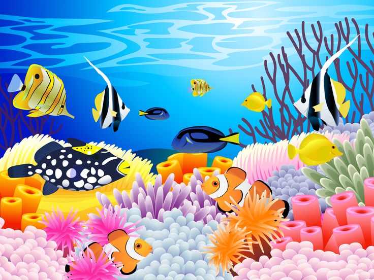 Below The Aqua ! on Pinterest | Underwater, Fish and Anemones