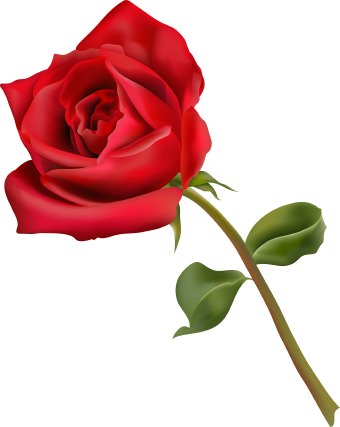 Clipart Flower Rose | Clipart Panda - Free Clipart Images