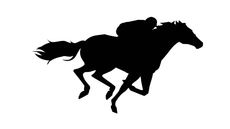 Running Horse Herd Silhouette | Clipart Panda - Free Clipart Images