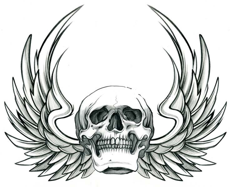 skull-wiff-wings-copy.jpg Photo by Kylieg17 | Photobucket