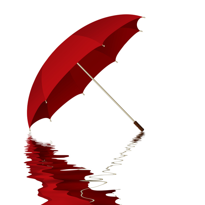Umbrella Insurance 101 From Safe Harbor Insurance – Friday Harbor ...