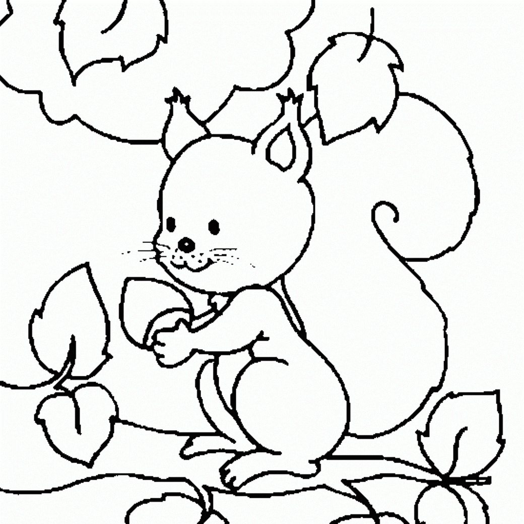 Download Squirrel Coloring Pages For Children Or Print Squirrel ...