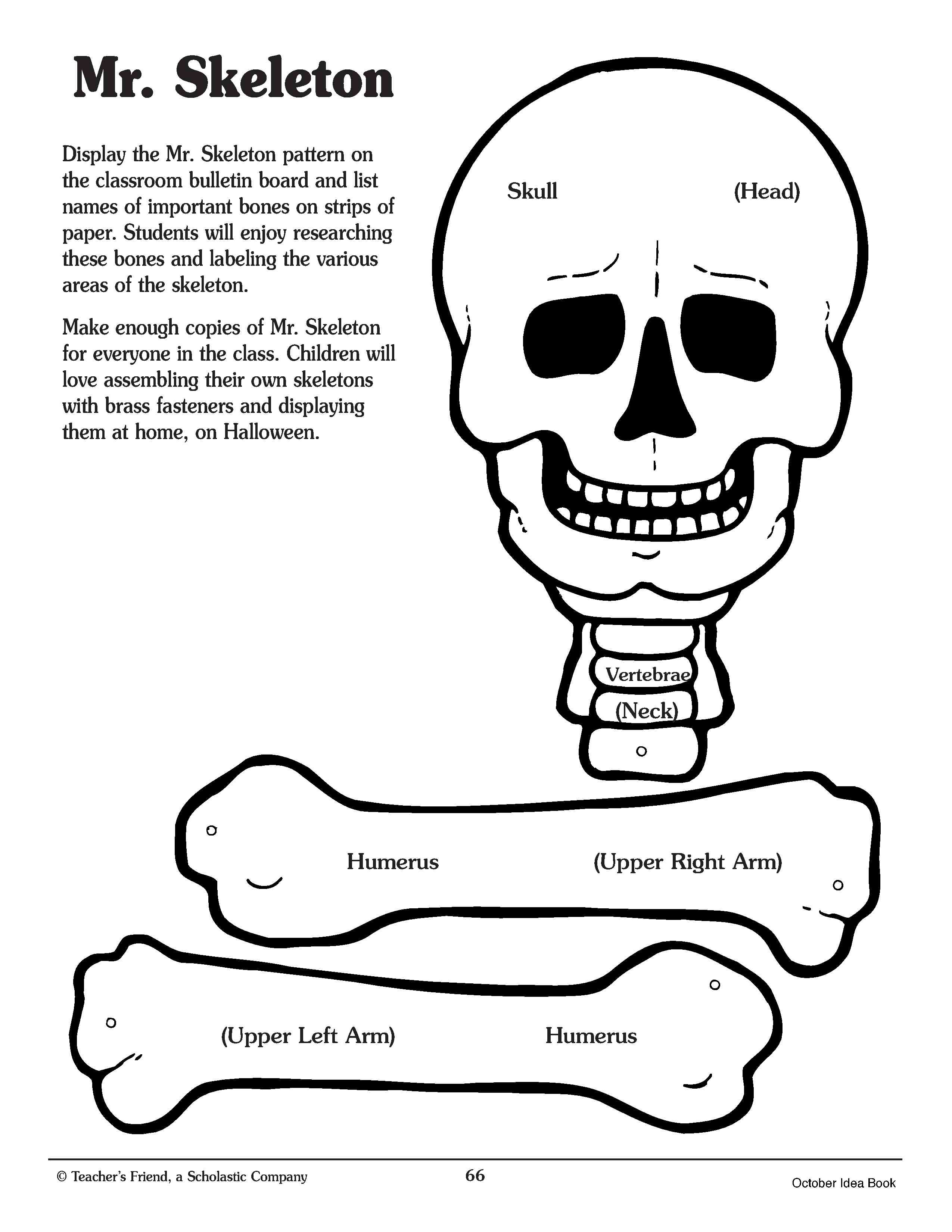 Crafty Symmetric Skeletons | Scholastic.