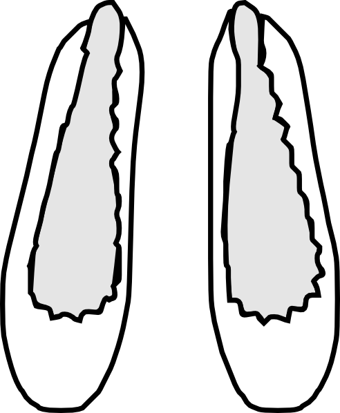 Tap Shoes Clip Art | Clipart Panda - Free Clipart Images
