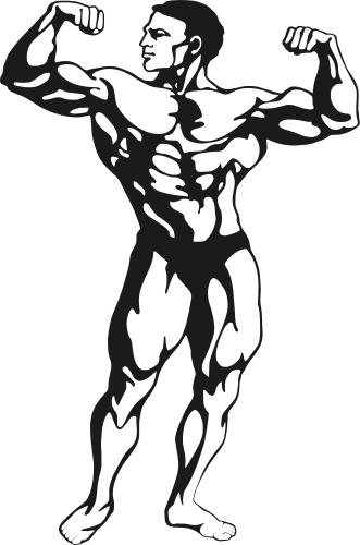Clip Art Muscle Man - ClipArt Best