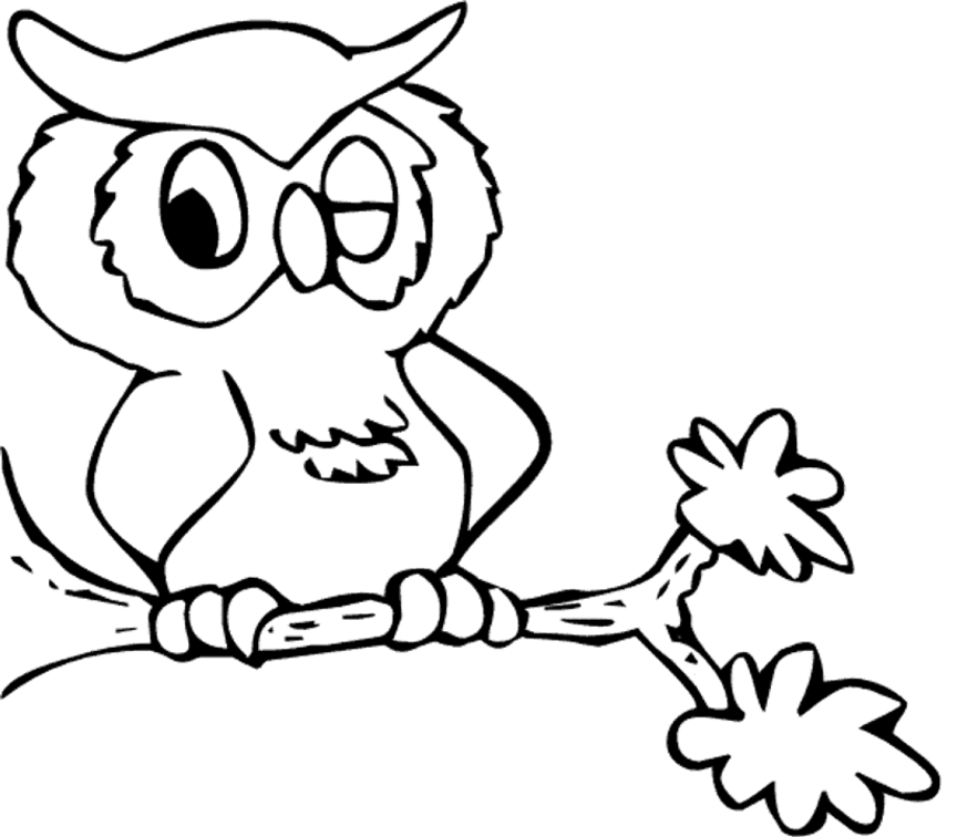 Owl Coloring Pages