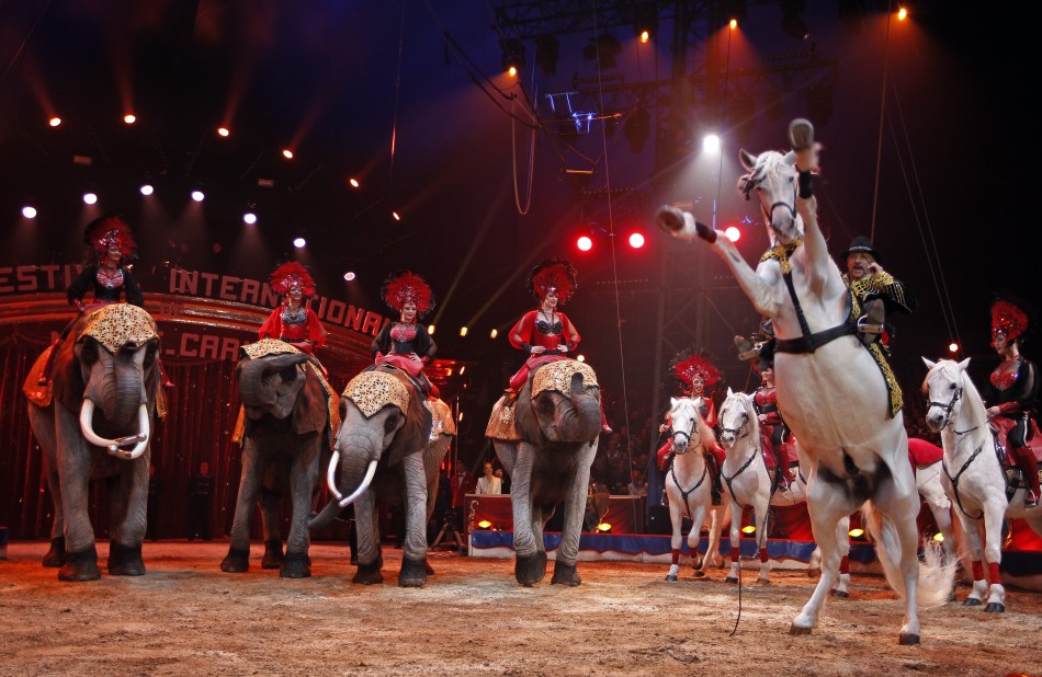 monte-carlo-circus-festival.jpg