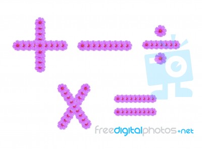 Maths Sign Made With Cosmos Flowers Stock Photo - Royalty Free ...