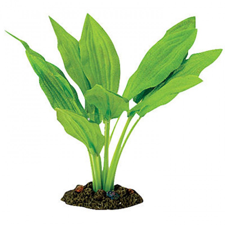Aqua One Broad Leaf Amazon Silk Plant