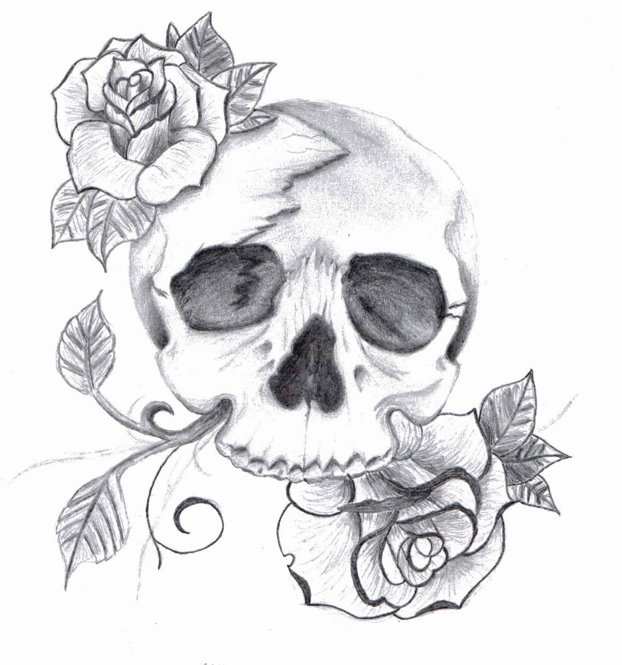 skull pictures to draw | Drawing Pics