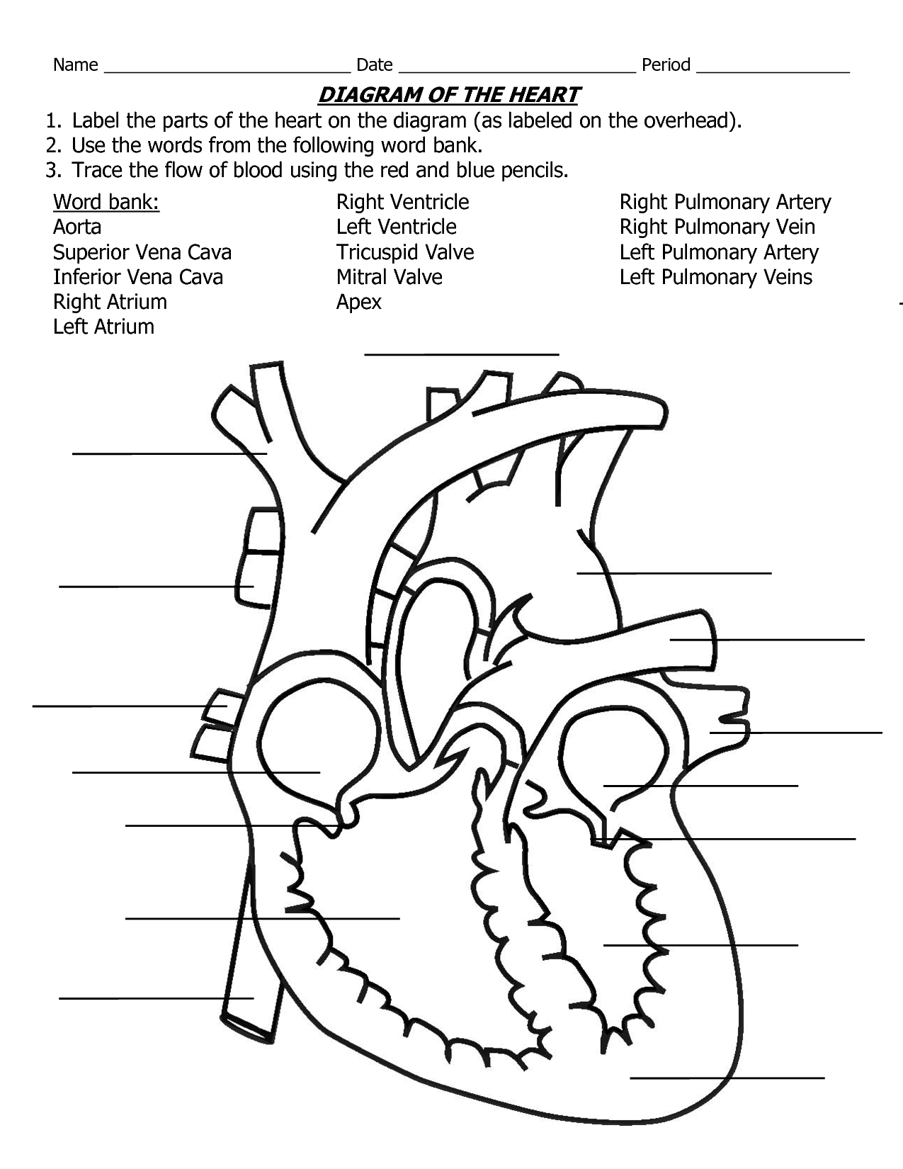 Free coloring pages of heart with valves