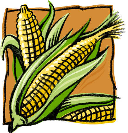 Stock Illustration - A drawing of corn