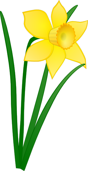 Daffodil Clip Art at Clker.com - vector clip art online, royalty ...