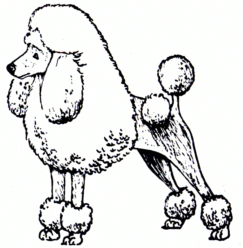 Coloring sheets - Nova's Standard Poodles
