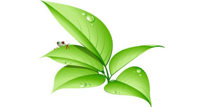 Office Plant Hire Sydney Profile - Indoor Plants - Tropical Plant ...