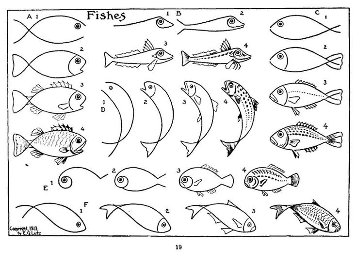 Fish Drawings on Pinterest | Shark Drawing, Boat Drawing and ...