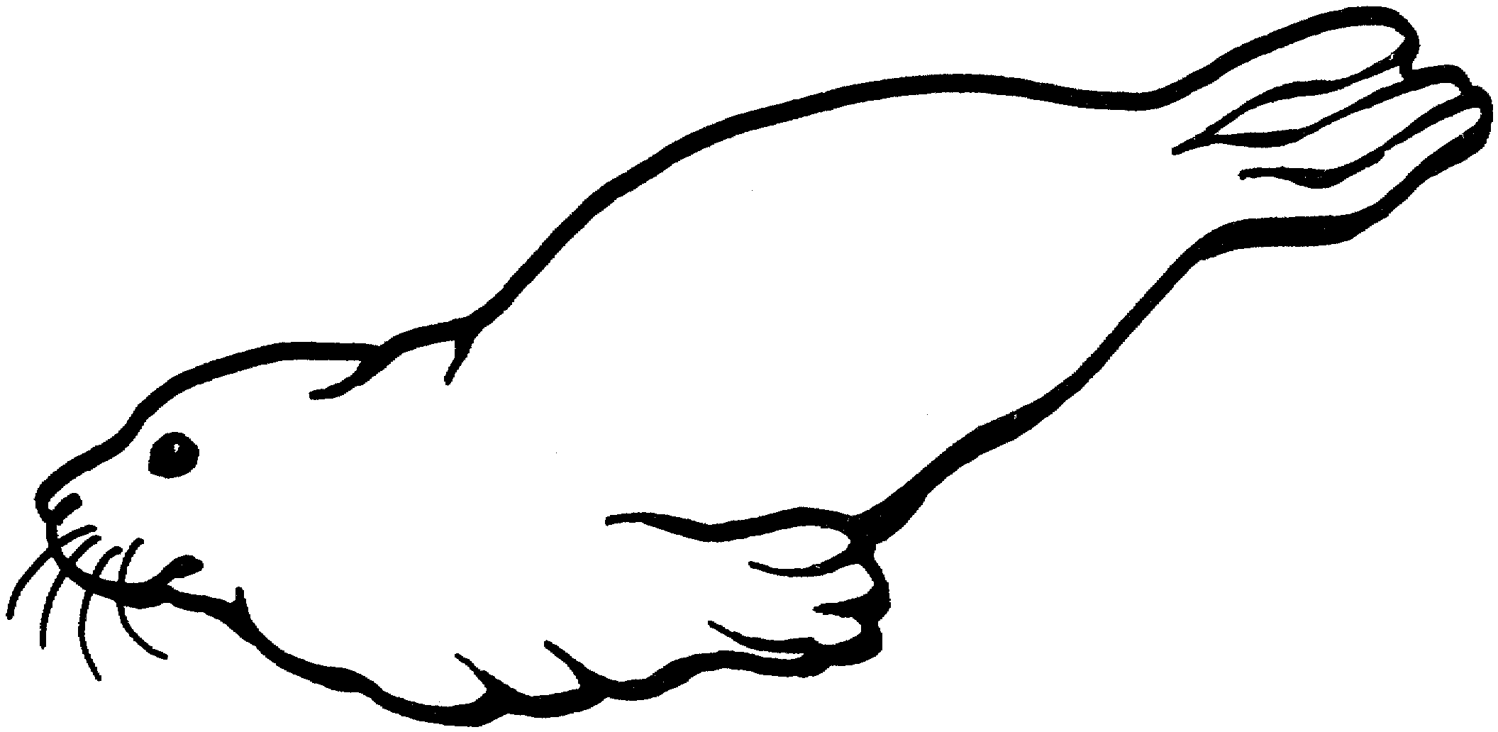 seal-1.gif