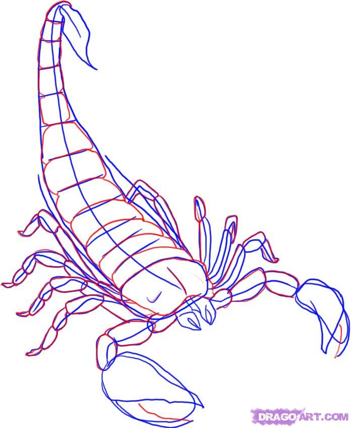 How to Draw a Scorpion, Step by Step, Bugs, Animals, FREE Online ...
